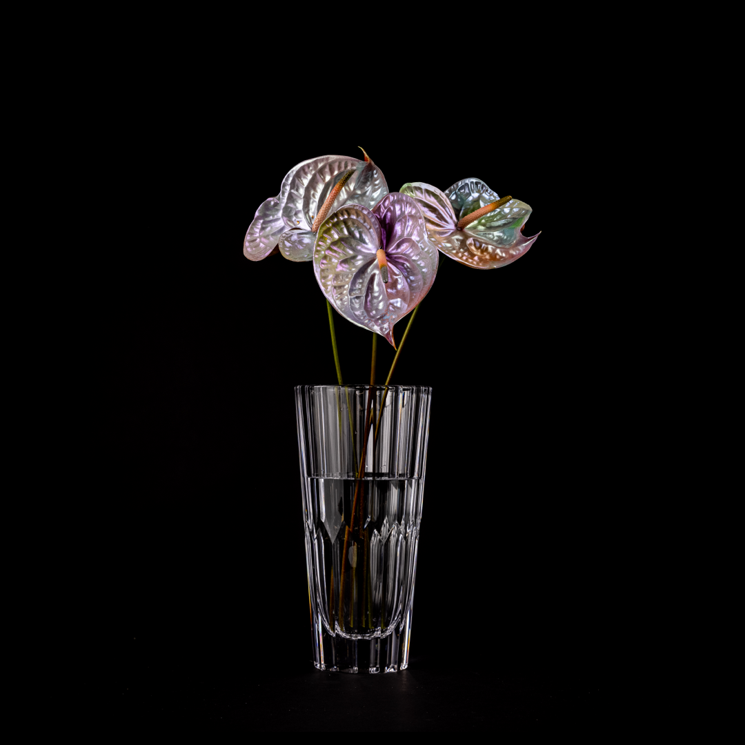 iridescent anthurium House of Stems: Aura – Bloom Bundle